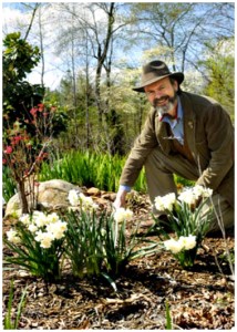 Rain Gardens in South Carolina