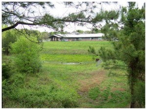 Land and Tree Appraisals in York County